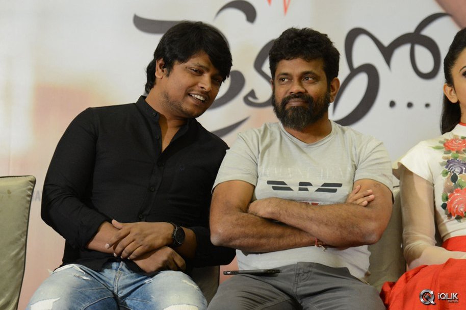 Nannaku-Prematho-Movie-Grand-Success-Meet